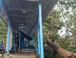 Bangunan di Terminal Alam Barajo Rusak Tertimpa Pohon Tumbang