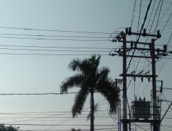 Meteran Listrik Dicabut, Warga Laporkan PLN Jambi ke Polisi