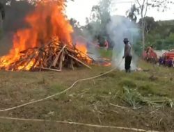 Puluhan Hektare Lahan di Jambi Terbakar, Tanjabtim Terluas