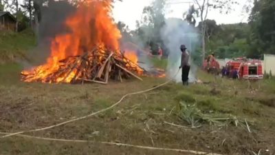 Puluhan Hektare Lahan di Jambi Terbakar, Tanjabtim Terluas