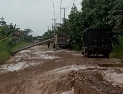 3 Tiang Listrik di Tanjabtim Ambruk Menutup Jalan