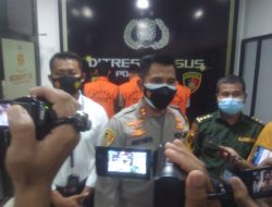 Polisi Jambi Ungkap Kasus Ilegal Logging, Ringkus 3 Orang Pelaku