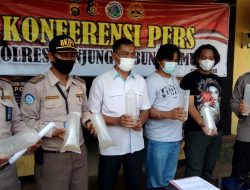 Penyelundupan Bayi Lobster Masih Terjadi di Jambi