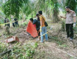 Penemuan Jasad Bayi Terkubur di Kebun Sawit Gegerkan Warga Sabak Barat