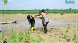 Foto : Dokumentasi Tanjab Timur.