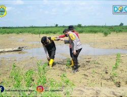 Serius Cegah Kebakaran Hutan dan Lahan