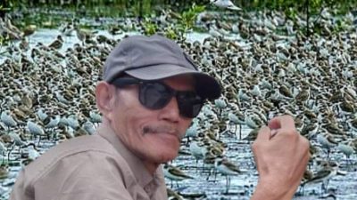 Pentingnya Percepatan Pembangunan Kawasan Timur Jambi