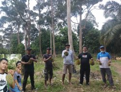 Kampung Durian di Desa Penyambungan Jadi Buruan Penggila Kuliner