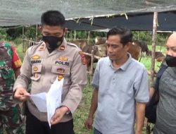 Antisipasi Wabah PMK, Polisi dan TNI Lakukan Pemeriksaan Hewan Ternak di Kandang