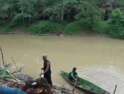 Jeritan Petani di Muaro Jambi, Angkut Hasil Perkebunan dengan Sampan