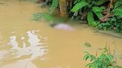Seorang nenek di Kota Jambi ditemukan meninggal dunia di genangan banjir, Senin, 01 Mei 2023.