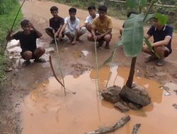 Kritik Pemerintah, Pemuda di Muaro Jambi Mancing Belut dan Tanam Pohon di Jalan Rusak