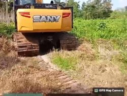 Kawasan Hutan Lindung Londerang Dirambah Menggunakan Alat Berat, Ketua RLH Sahroni Desak APH Turun Tangan 