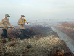 Kapolres Muaro Jambi Berjibaku Padamkan Kebakaran Lahan Gambut