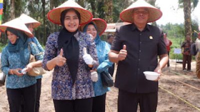 Ketua TP PKK Muaro Jambi Ikut Sukseskan Program Penanaman Jagung 