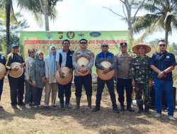 Swasembada Jagung, Desa Mendalo Darat Jadi Role Model Ketahanan Pangan