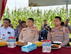 Wakapolres Muaro Jambi Hadiri Zoom Meeting Panen Raya Jagung 