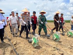 Kapolres Muaro Jambi Hadiri Tanam Jagung Serentak Kuartal IV Polda Jambi