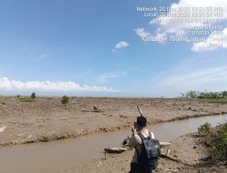 Mangrove Sungai Sayang Dibabat, Penegakan Hukum Diduga Jalan di Tempat