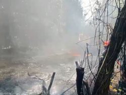 Tumpahan Solar Picu Kebakaran Hebat di Paal Merah, Damkar Gunakan Cairan Khusus untuk Pemadaman   ​