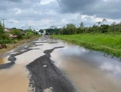 Jalan Rusak di Simpang Garuda-Blok D Geragai, Warganet Pertanyakan Tanggung Jawab Pemda atau PetroChina?