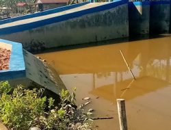 BPKP Turun Tangan Audit Proyek Pintu Air Rp 4 Miliar di Tanjab Barat, Ada Apa?