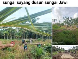 Warga Tanjab Timur Gotong Royong Perbaiki Jalan Rusak dengan Pohon Pinang