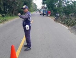 Demi Keselamatan Pengendara, Dishub Tanjab Timur Kawal Pemangkasan Pohon di Jalan Nasional