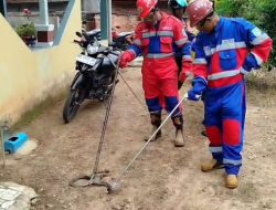 Gerak Cepat Damkar Kota Jambi Evakuasi Ular Kobra di Kenali Asam Bawah