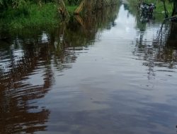 Dampak Banjir di Desa Suka Maju, Jalan Utama Terendam Hingga Ganggu Aktivitas Anak Sekolah
