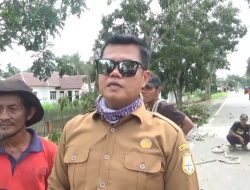 Langkah Jempolan Dinas Perkim Tanjab Timur, Pangkas Ratusan Pohon Besar Demi Keselamatan Pengendara