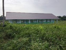 Proyek Setengah Hati di TK Negeri 22 Muaro Jambi, Gedung Baru Berakhir Jadi Semak Belukar ​