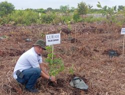 Antisipasi Karhutla, Lurah Wahyu Setiawan Ajak Warga Teluk Dawan Jaga Lahan Gambut