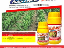 PETANI WAJIB TAHU! Ini Deretan Amunisi Ampuh Basmi Hama dan Gulma dari PT Berbak Agro Sejati, Jagung Hingga Sawit Jadi Aman