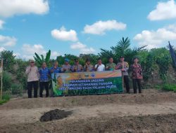 Mewujudkan Ketahanan Pangan, Polsek Mestong Bersama Desa Talang Pelita Tanam Satu Hektar Jagung