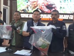 Polisi Bongkar Perdagangan Ilegal Sisik Trenggiling Beromset Ratusan Juta