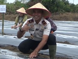 Dukung Asta Cita Presiden, Imigrasi Jambi Manfaatkan Lahan 7 Ribu Meter Jadi Kebun Melon dan Cabai Geprek