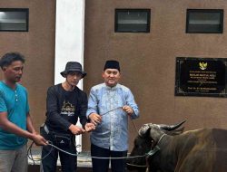 Semangat Berbagi di Hari Raya Idul Adha, Kejati Jambi Sembelih 14 Ekor Sapi Kurban