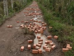 Viral Foto Jalan Rusak Disebut Hoaks, Warga Rantau Rasau Ungkap Fakta Sebenarnya: Kami Patungan Beli Batu