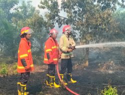 Lahan Sawit Warga di Sengeti Muaro Jambi Terbakar