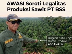 AWASI Soroti Legalitas Produksi Sawit PT BSS di Kawasan Hutan Produksi Muaro Jambi