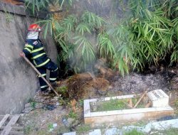 Lahan Kuburan Sengkawang Jambi Terbakar