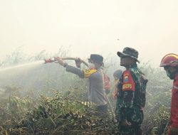 Pantau Karhutla di Tanjabtim, Kapolda, Danrem dan Gubernur Jambi Turun Langsung Padamkan Api