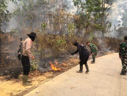 Respons Cepat Satgas Karhutla Padamkan Api 3 Hektar di Tahura Batang Hari