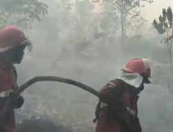 Perjuangan Petugas Manggala Agni Padamkan Api di Hutan Lindung Gambut Londerang Tanjab Timur