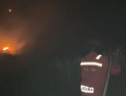 Perjuangan Pantang Mundur Manggala Agni hingga Larut Malam, Padamkan Karhutla di Desa Pulau Mentaro