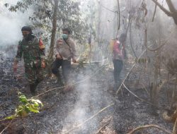 Polisi Usut 75 Kasus Karhutla dan Ringkus 14 Tersangka