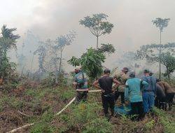 Karhutla Hutan Lindung Londerang di Tanjabtim Membara, RLH Desak Pemerintah Periksa Perusahaan Sawit dan Pemilik Lahan Luas