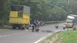 2 Sepeda Motor Adu Kambing di Muaro Jambi, Satu Pengendara Kritis