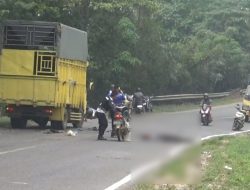 2 Sepeda Motor Adu Kambing di Muaro Jambi, Satu Pengendara Kritis